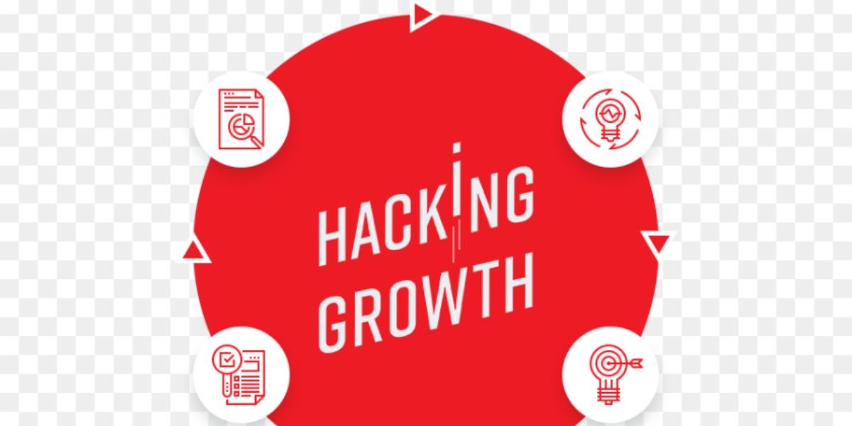 the new marketing strategy - growth optimizers 