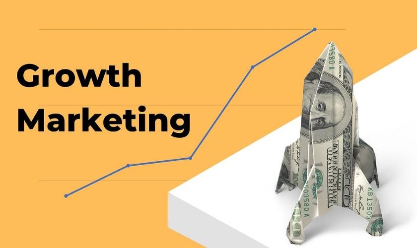 the new marketing strategy - growth optimizers 